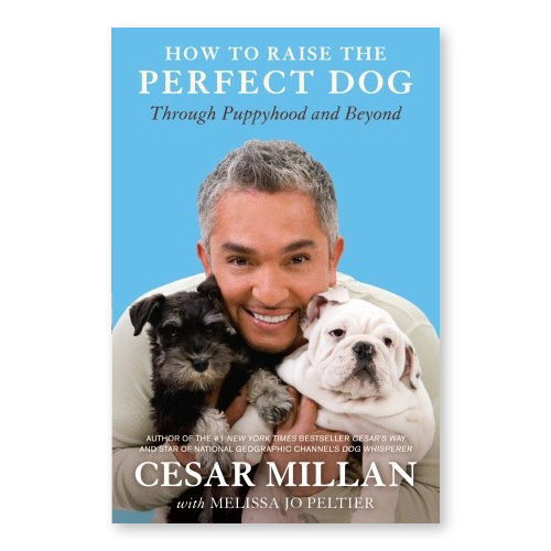 Cesar-Milan-How-to-Raise-the-Perfect-Dog
